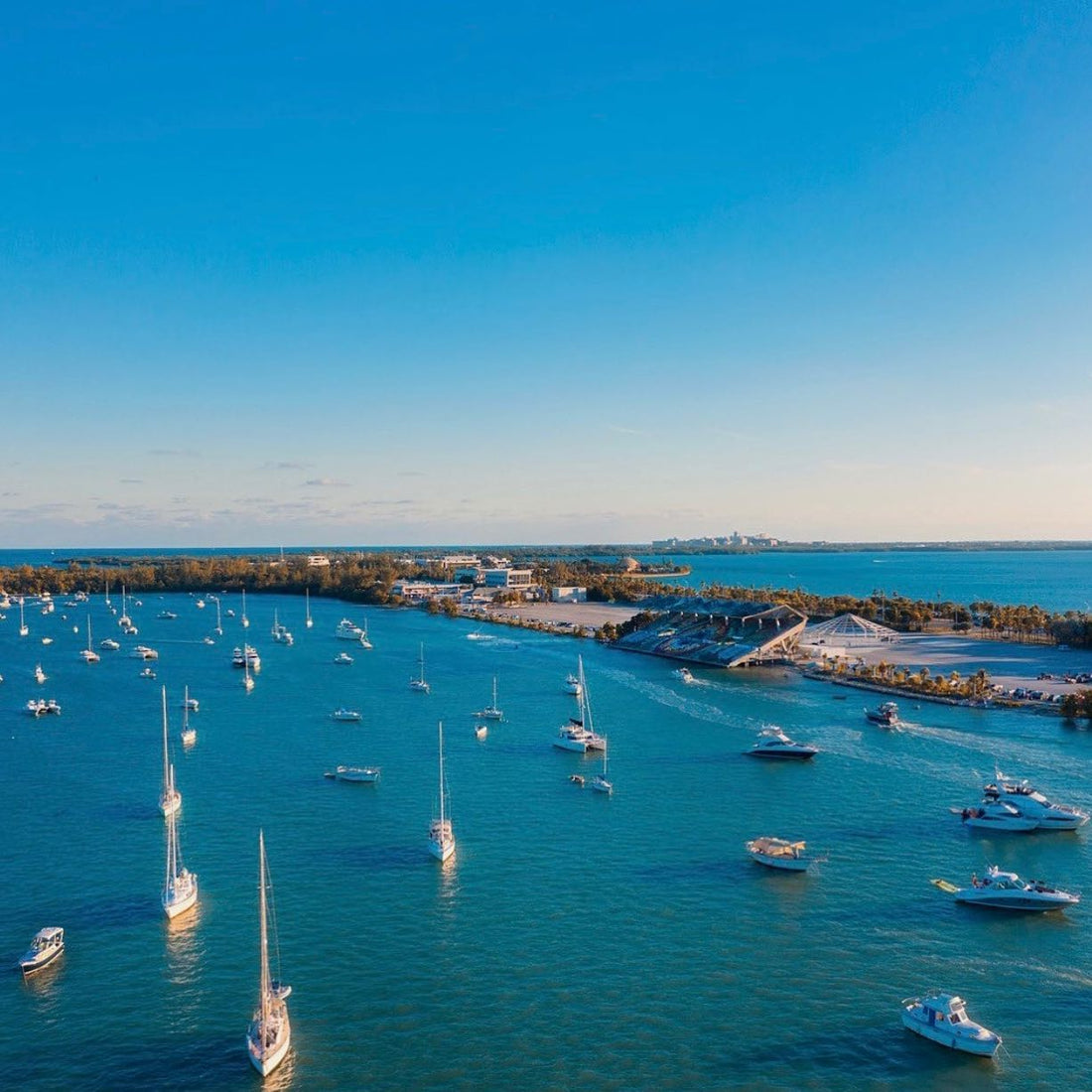 Art Galleries in Miami | Florida