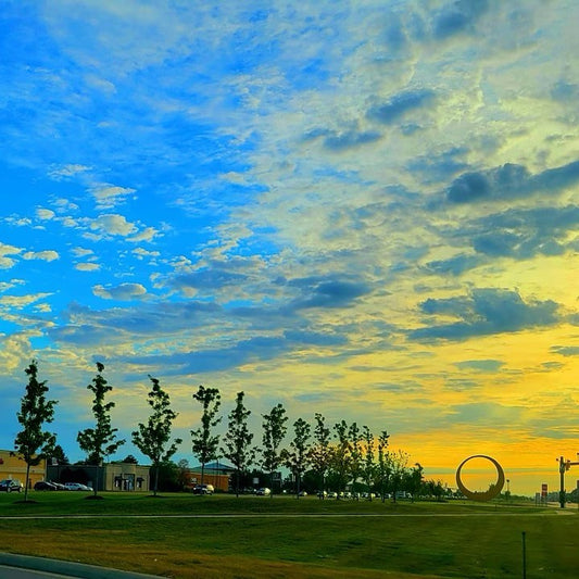 Art Galleries in Sterling Heights | Michigan