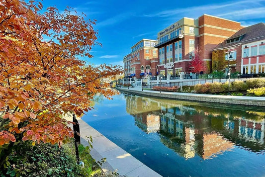 Art Galleries in Naperville | Illinois