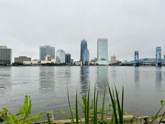 Art Galleries in Jacksonville | Florida