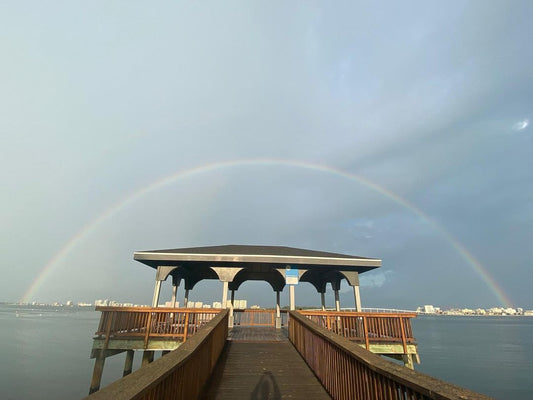 Art Galleries in Clearwater | Florida
