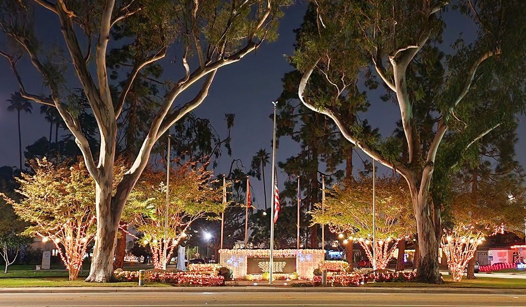 Art Galleries in Torrance | California