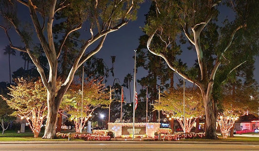 Art Galleries in Torrance | California