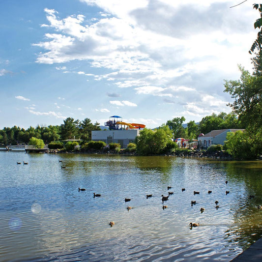 Art Galleries in Fort Collins | Colorado