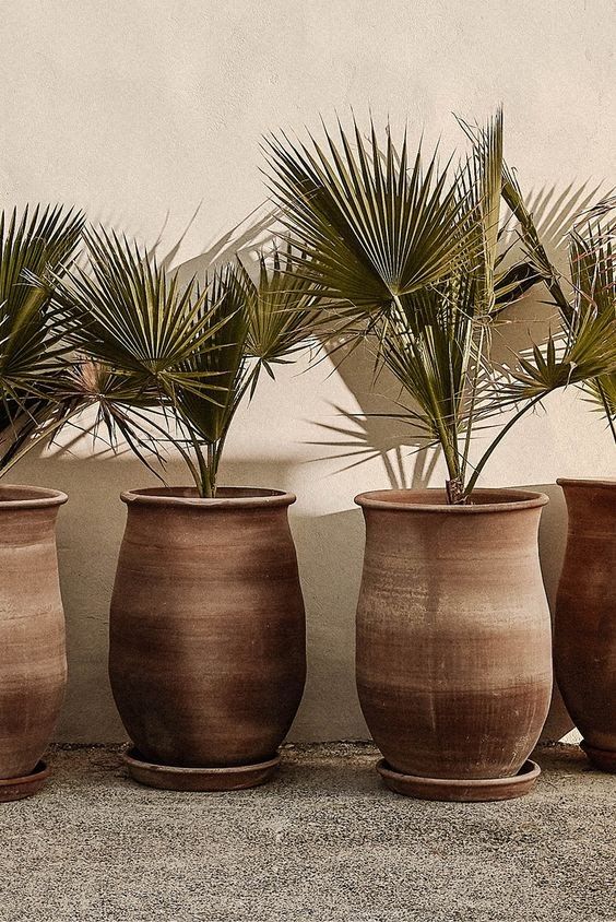 Soul of the Soil: Artisanal Terracotta Planters and Vases
