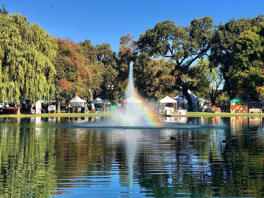 Art Galleries in Elk Grove | California