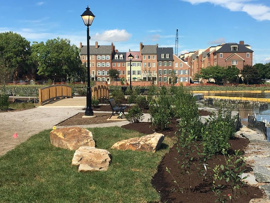 Art Galleries in Alexandria | Virginia