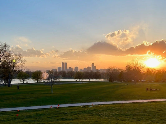 Art Galleries in Denver | Colorado