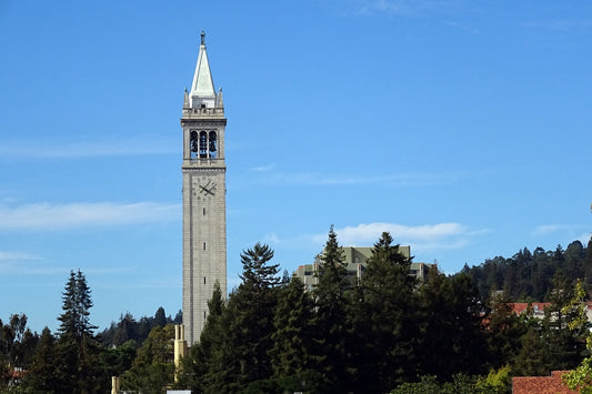 Art Galleries in  Berkeley | California