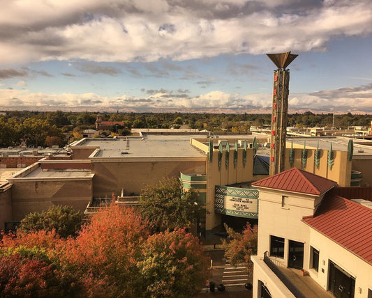 Art Galleries in Modesto | California