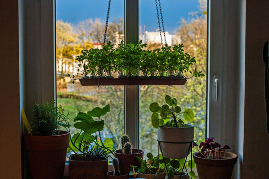 Green Your Home Garden or Balcony With Unique Pots and Planters